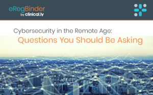 Cybersecurity in the Remote Age